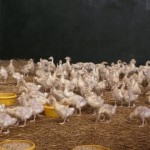 Unsere Gänse